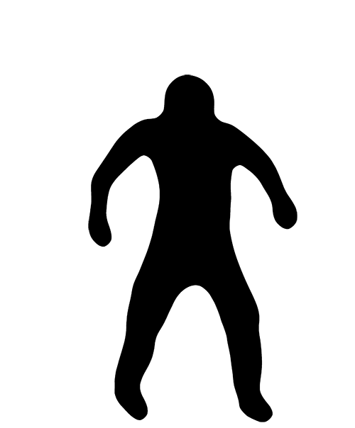 Neurosteer
